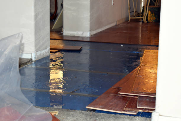 Professional Sewage Cleanup technician working in Corsica, SD